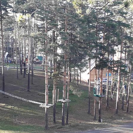Lux Apartman Ss Zlatibor Vila Pekovic Green חדר תמונה