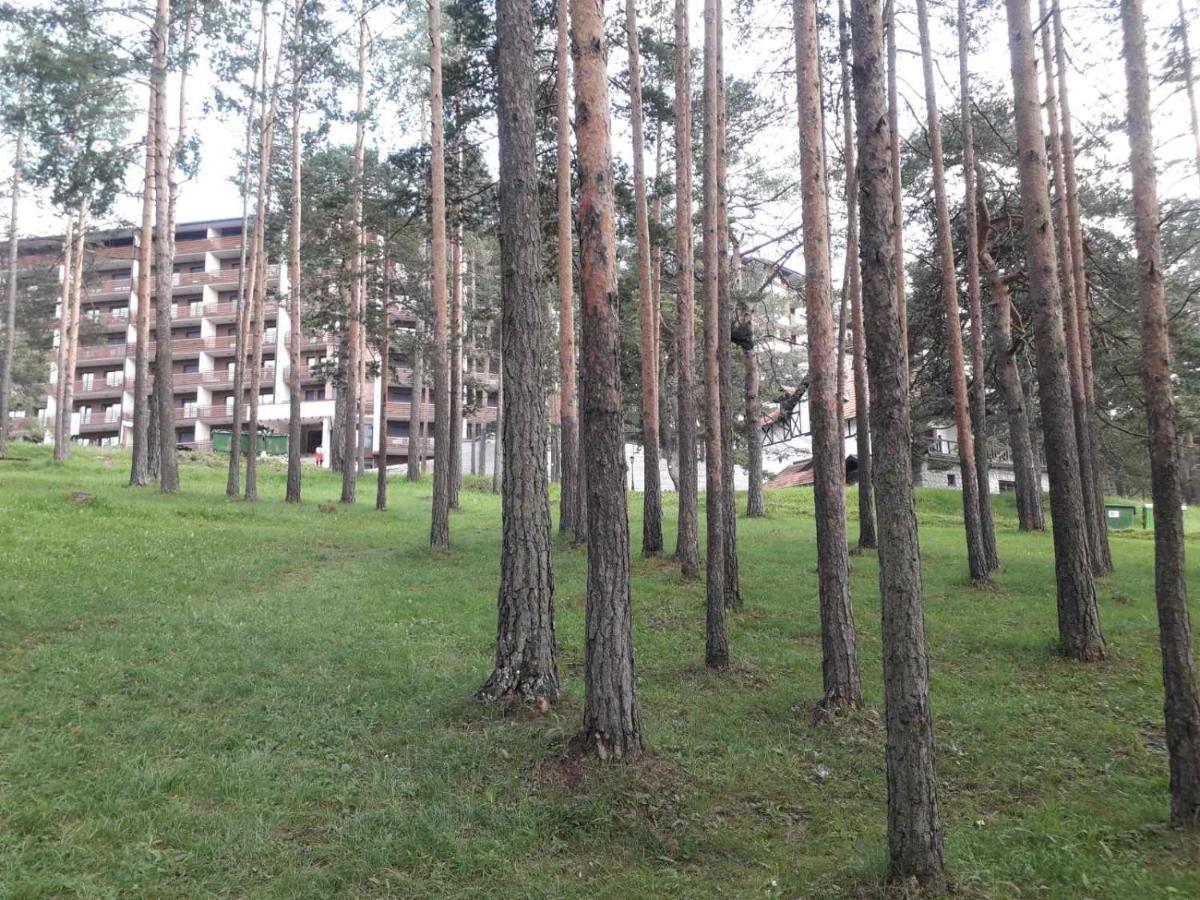 Lux Apartman Ss Zlatibor Vila Pekovic Green מראה חיצוני תמונה
